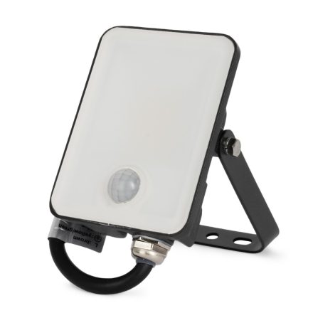 10W 4000K IP65 LED reflektor mozgásérzékelővel Avide
