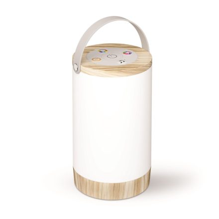 LED hordozható asztali lámpa RGB Avide