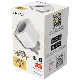 Smart Hálózati Adapter 1x fogyasztásmérővel WIBLE Entac
