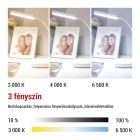 Molly 12W LED asztali lámpa fehér Emos