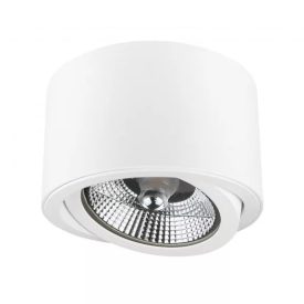 Chloe mennyezeti billenthető lámpa 1XAR111 SpectrumLED