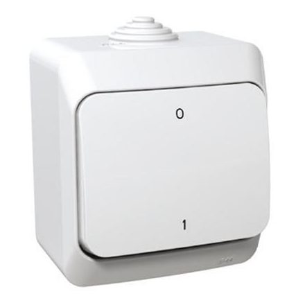 Cedar kétpólusú kapcsoló fehér (102) IP44 Schneider 